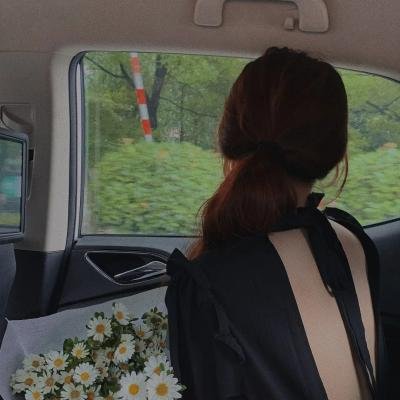 重生拒绝当舔狗女神校花急了